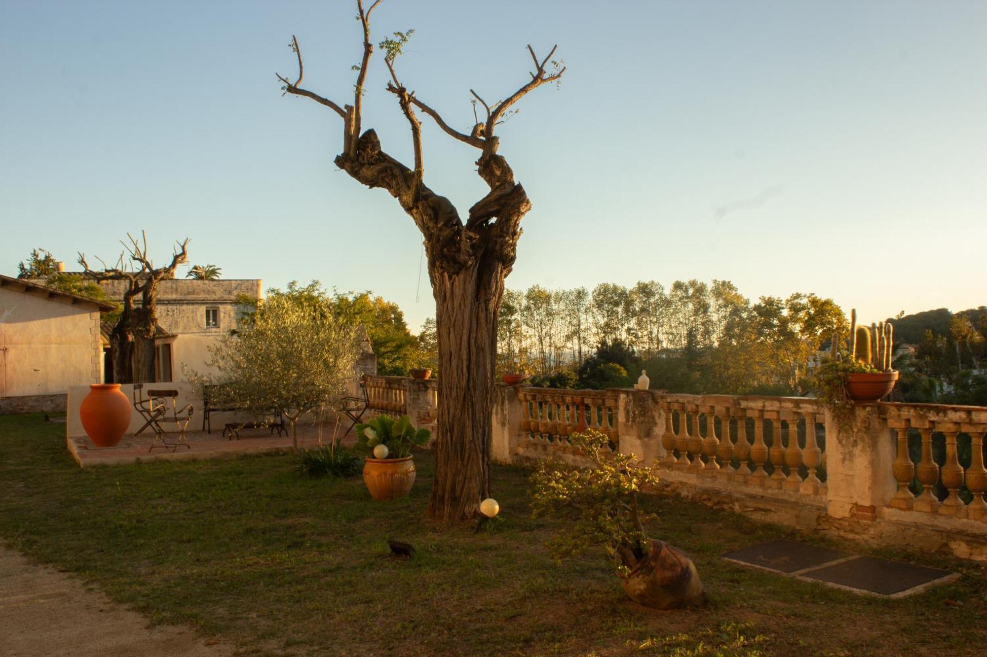 Can Rovira: Neoclassical Mansion Near Barcelona Alella Exterior photo